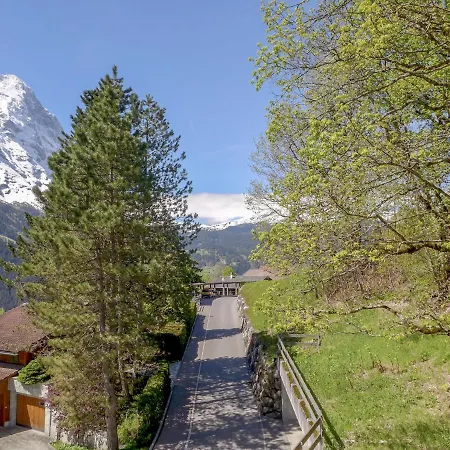 Chalet Holzwurm-2 Daire *